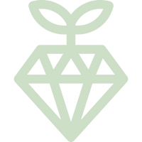 icon_policy